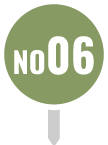 ピンNo06-緑