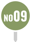 ピンNO09-緑