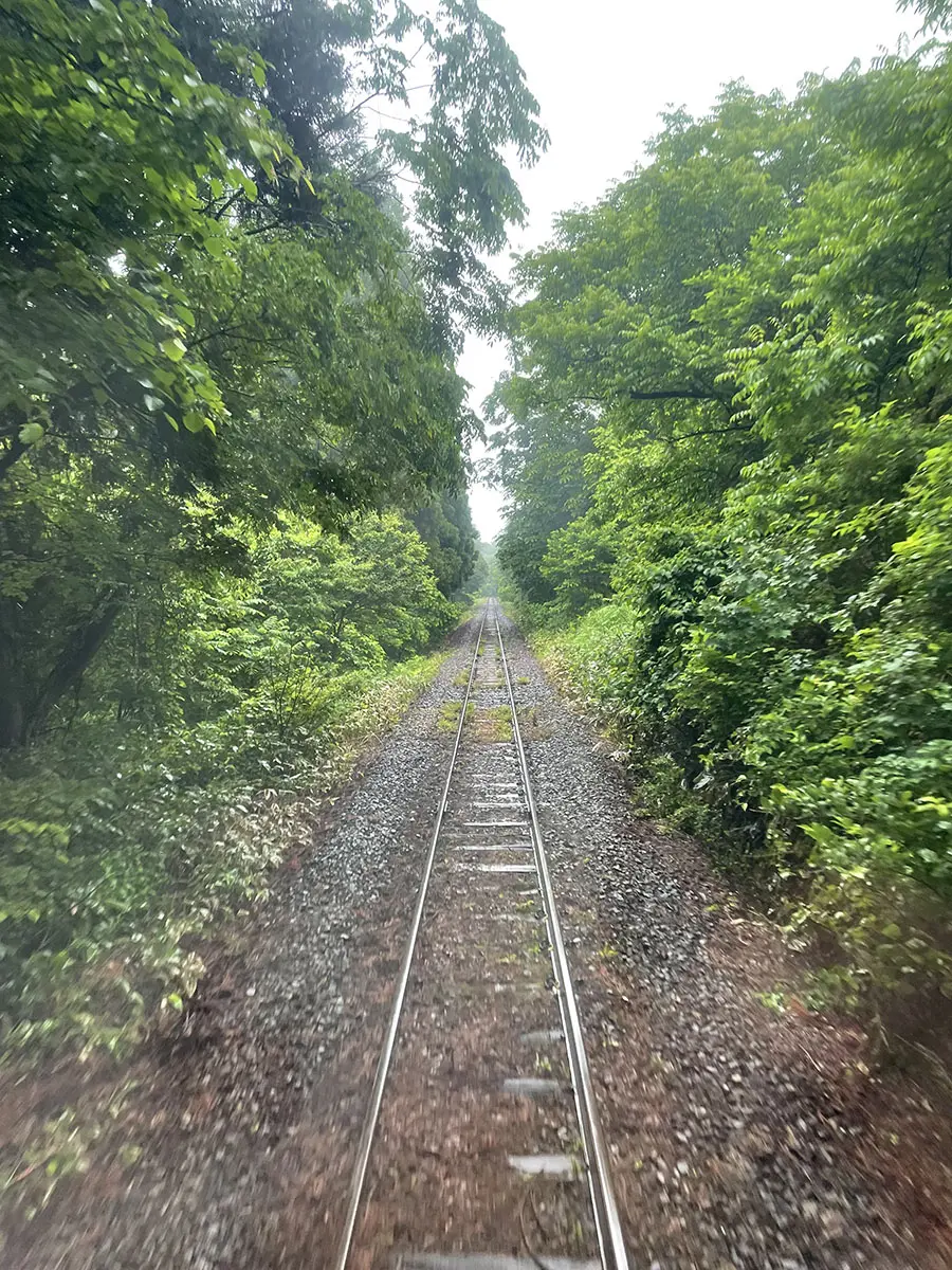 作品名稱：復興之路仍在延續