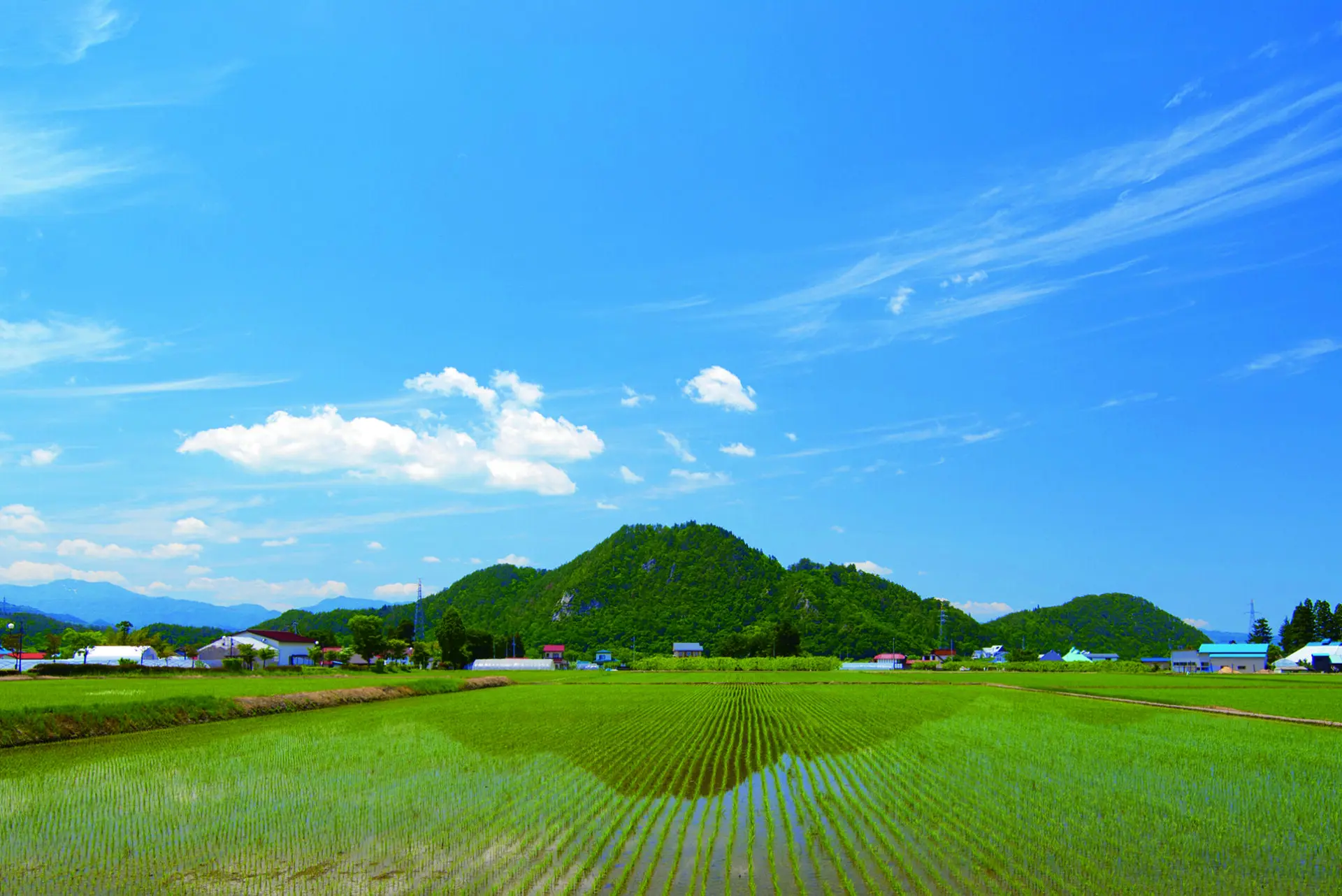 向羽黒山城跡