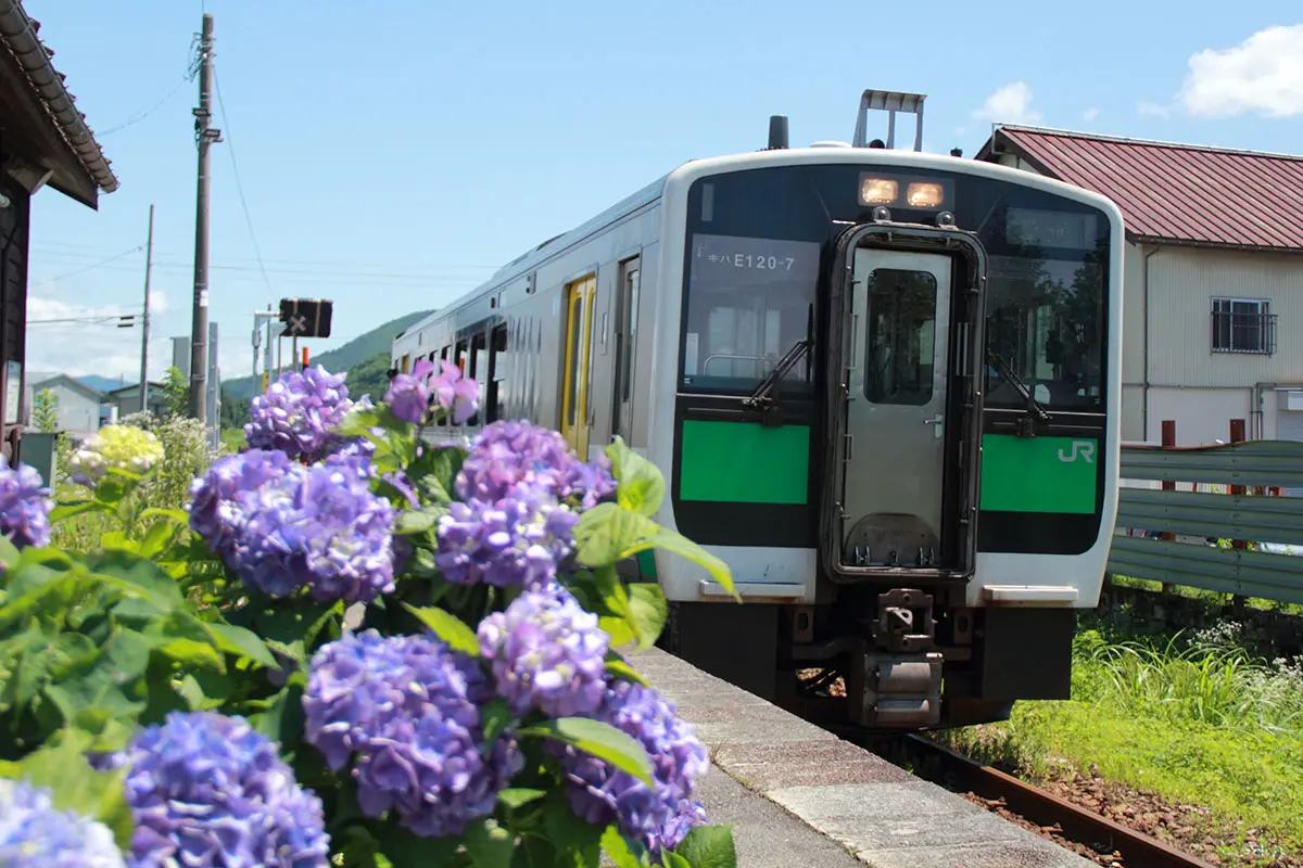 作品名稱：從繡球花眺望只見線