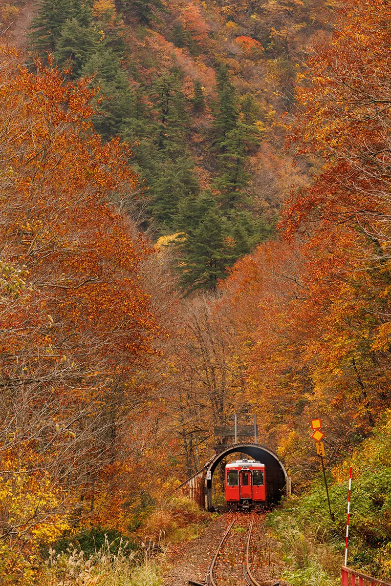 作品名稱：六十里越峠，秋日黃昏