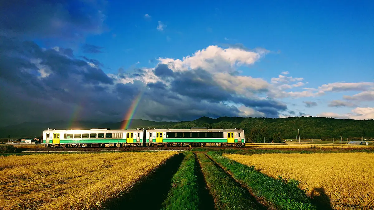 作品名稱：秋日清晨小雨初歇的彩虹只見線