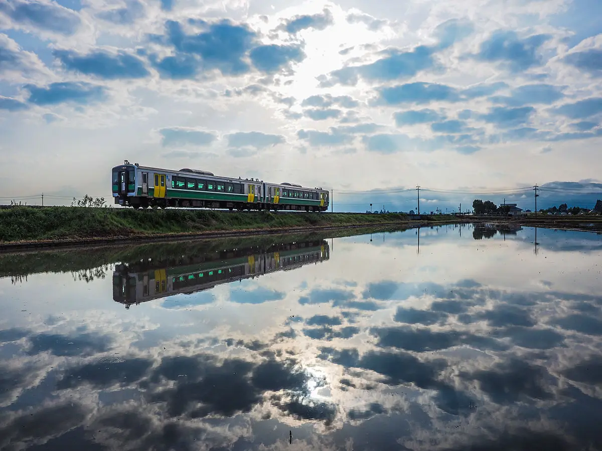 作品名稱：馳騁於田園