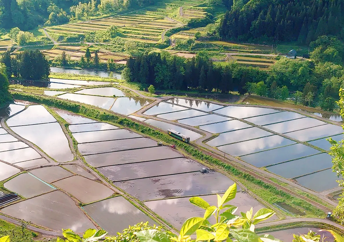 作品名稱：尋找只見線