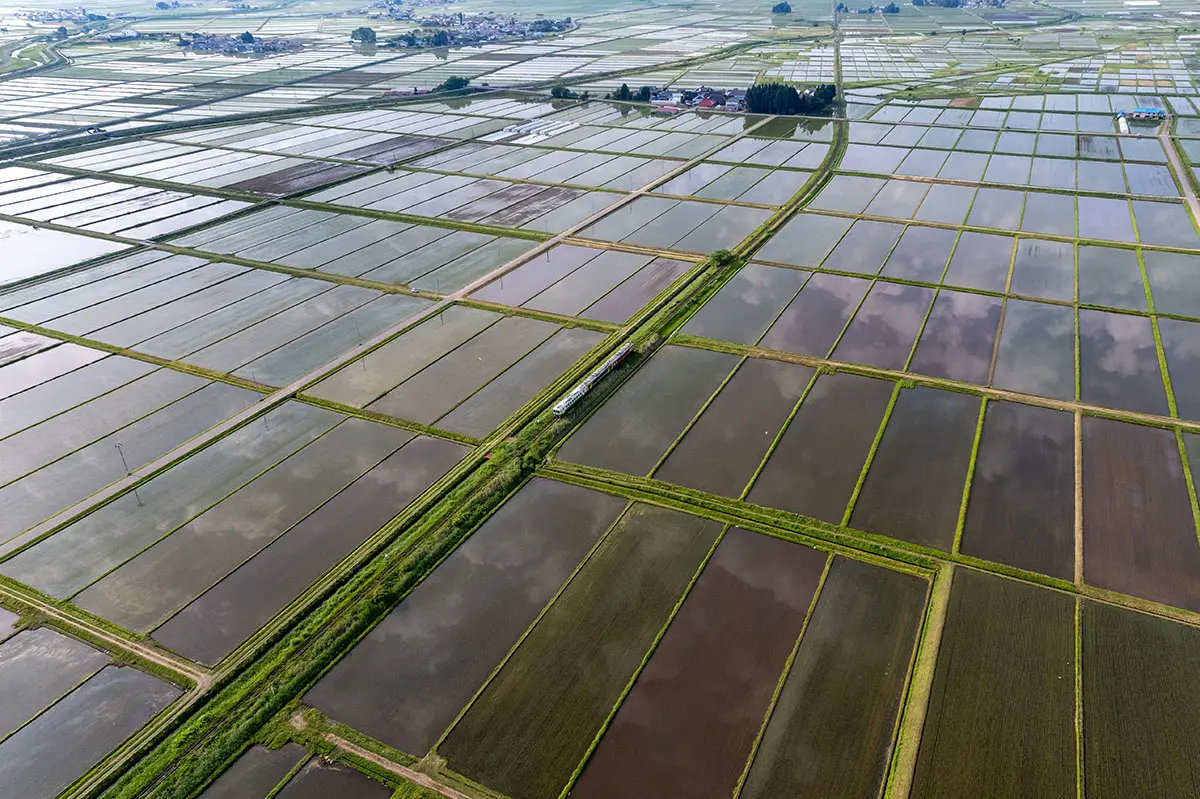 作品名稱：奔馳於鄉里