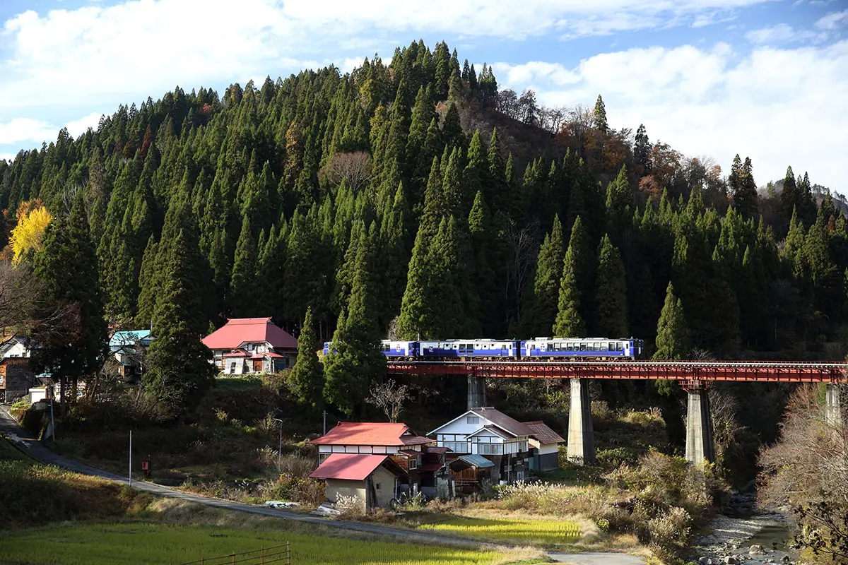 作品名稱：里山的 Shu☆Kura