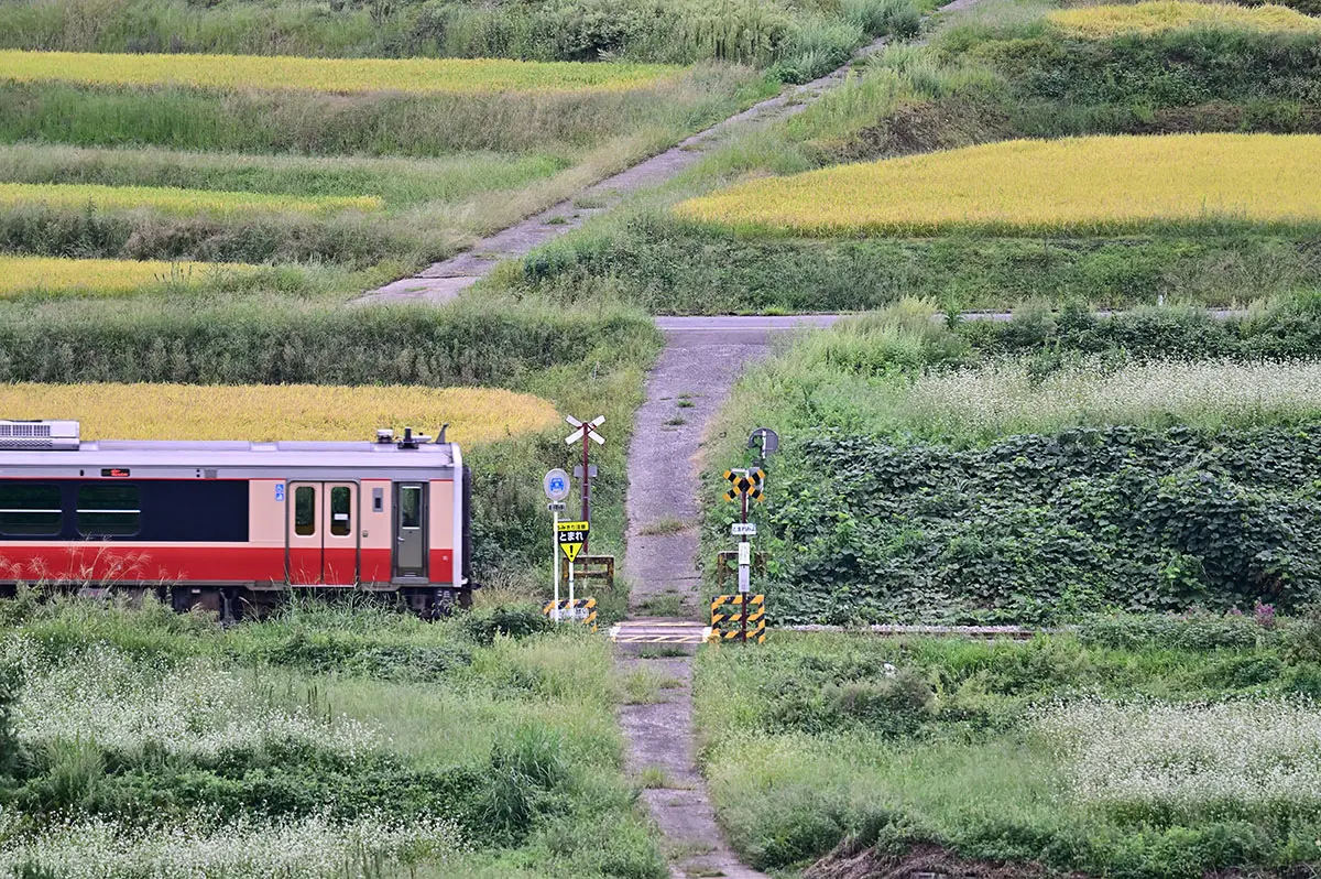 作品名稱：秋意正濃