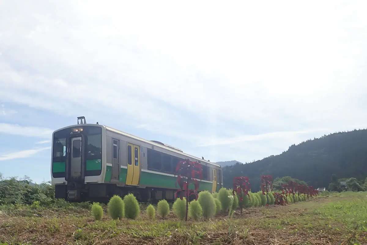 作品名稱：毛茸茸