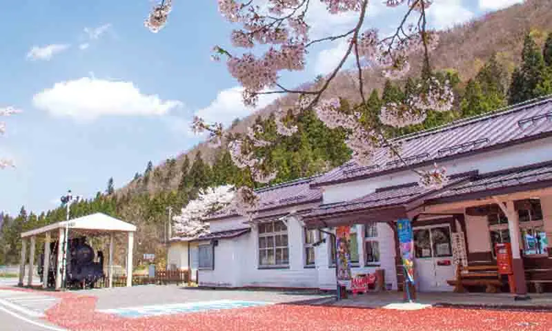 東北の駅百選「会津柳津駅」 SLと桜