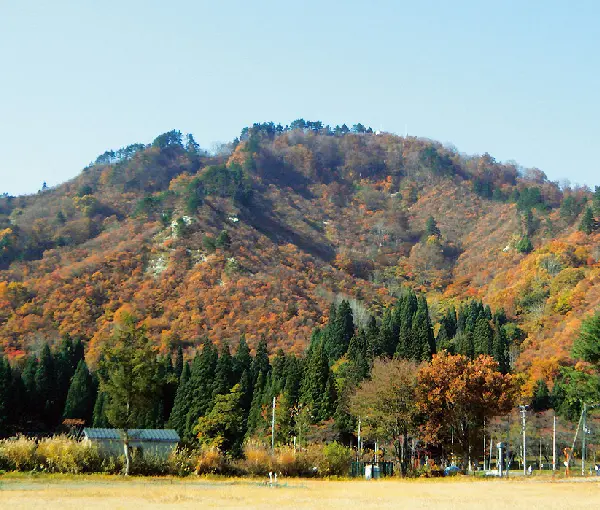 要害山